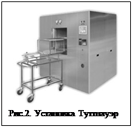 Надпись: 
Рис.2. Установка Туттнауэр

