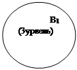 Овал: В1 (3урвень)