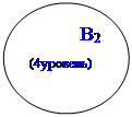 Овал: B2 (4уровень)