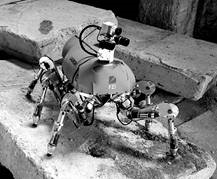 Walking Robot LAURON 5 in Rough Terrain at Taranis Field Exercise