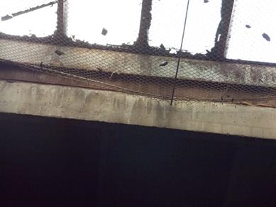 DSCN4653