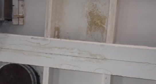 DSCN3505