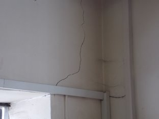 DSCN3850