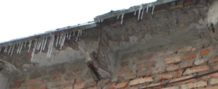 DSCN3844
