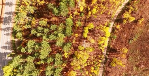 D:\dcdownloads\DJI\7.jpg