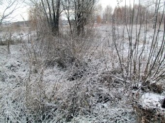 C:\Users\Михаил\Google Диск\Статьи\охранные зоны\Фото\IMG_5173.JPG
