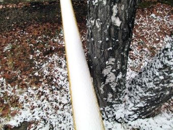 C:\Users\Михаил\Google Диск\Статьи\охранные зоны\Фото\IMG_5261.JPG