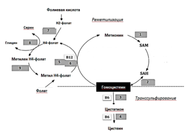 C:\Users\1\Desktop\Саша\схема.png