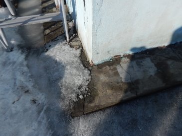 DSCN6964