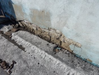 DSCN6958