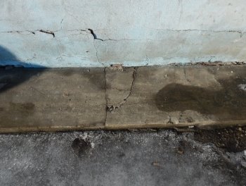 DSCN6962