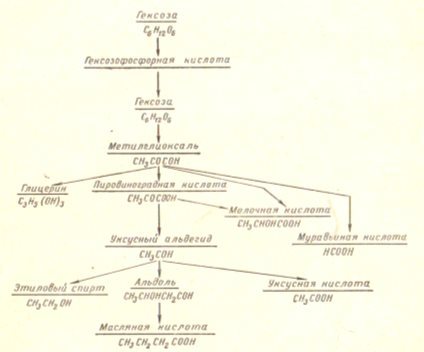 C:\Users\User\Pictures\2015-07-11\Сканировать10001.JPG