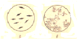 D:\156.png