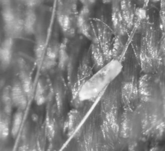 D:\Диск G\Лора институт\2016\Турай\100NIKON\100NIKON\DSCN6729.JPG