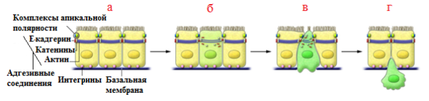 C:\Users\Uzer\Desktop\2.png