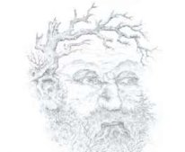 G:\конференции\2013\алгебра геометрия никифоровой дарьи\работа\сдача\город..область\имп арт.jpg
