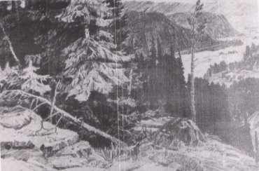 D:\Documents\Scanned Documents\Рисунок (25).jpg