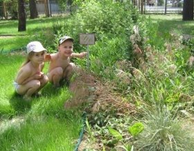 D:\111Мои документы\Мои рисунки\фото устойч разв\IMG_3106.JPG
