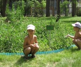 D:\111Мои документы\Мои рисунки\фото устойч разв\IMG_3103.JPG