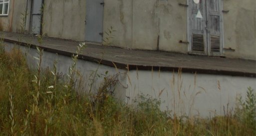 DSCN0032