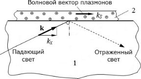 C:\Users\Savi\Pictures\11_07.jpg