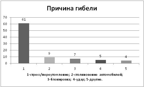 C:\Users\Артем\Pictures\Рис.1 Иваново.jpg