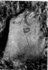 C:\Users\1\Desktop\image008_28.jpg