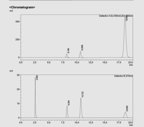 C:\B3899325\484B7F2C-C2A5-4508-8E8C-0D0FDFA871C8.files\image005.jpg