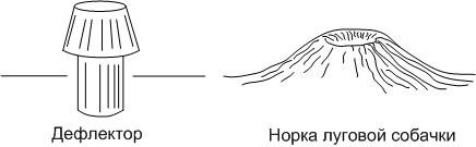 нора