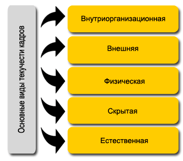 Основные виды текучести кадров меньше шрифт-min.png
