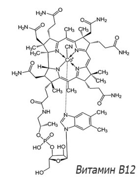 http://www.vitaminius.ru/vitaminy/vitamin-b12-instrukcija-po-primeneniju-2.jpg