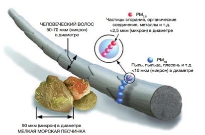 рисунок 1.jpg