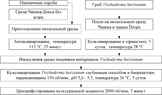 C:\Users\F240~1\AppData\Local\Temp\FineReader10\media\image1.png