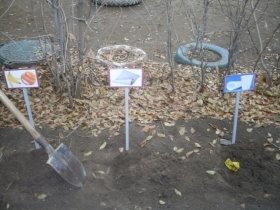 SDC12317.JPG