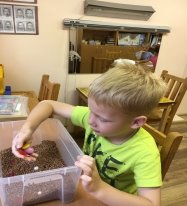 IMG-20170915-WA0007