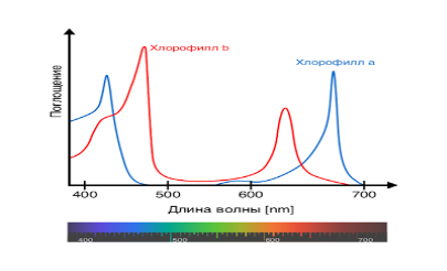 http://2.bp.blogspot.com/-12A8kzs50rk/UjIBYEwy6II/AAAAAAAAADQ/C0Q3b0HmNcU/s400/Chlorophyll_ab_spectra-en.png