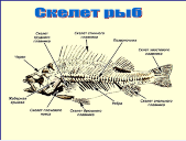 img30