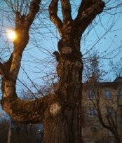 C:\Users\Admin\Desktop\МАГИСТРАТУРА\публикации\фото\Y4JxwK7ldd4.jpg