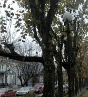 C:\Users\Admin\Desktop\МАГИСТРАТУРА\публикации\фото\CqFN3i4vN_c.jpg