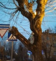 C:\Users\Admin\Desktop\МАГИСТРАТУРА\публикации\фото\Ybd6V4byJ-c.jpg