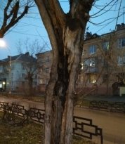 C:\Users\Admin\Desktop\МАГИСТРАТУРА\публикации\фото\xjtHuwUx-UI.jpg