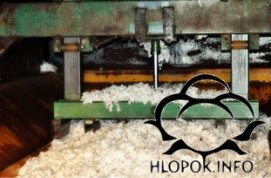 http://www.hlopok.info/uploads/files/images/catalog-1/ya190814-11.jpg