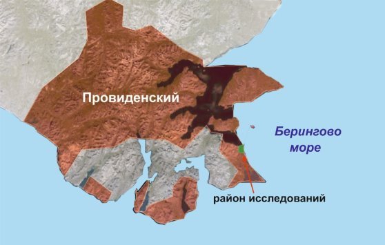 C:\Users\user\Desktop\статья по баранам\Безымянный-1.jpg