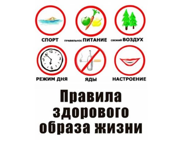 https://ds02.infourok.ru/uploads/ex/00e6/00013965-4169224e/2/img6.jpg