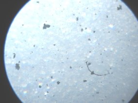 H:\ИЗОБРЕТЕНИЯ\БП Устройство очистки воды\Результаты исследований очистки воды замораживанием\IMG_1375.JPG