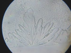 H:\ИЗОБРЕТЕНИЯ\БП Устройство очистки воды\Результаты исследований очистки воды замораживанием\IMG_1383.JPG