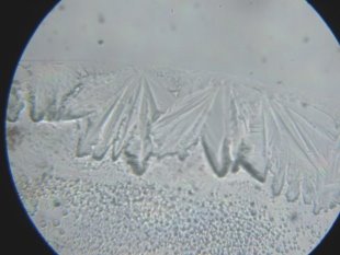 H:\ИЗОБРЕТЕНИЯ\БП Устройство очистки воды\Результаты исследований очистки воды замораживанием\IMG_1384.JPG