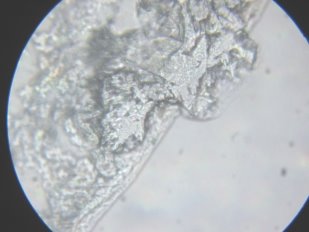H:\ИЗОБРЕТЕНИЯ\БП Устройство очистки воды\Результаты исследований очистки воды замораживанием\IMG_1386.JPG