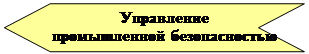 Нашивка: Управление 
промышленной безопасностью
