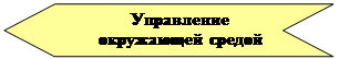 Нашивка: Управление 
окружающей средой
